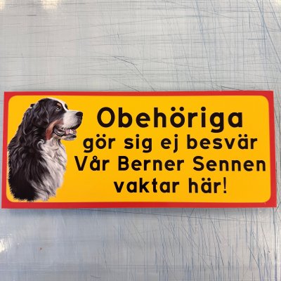Fynd - Obehöriga gör sig ej besvär, Berner Sennen
