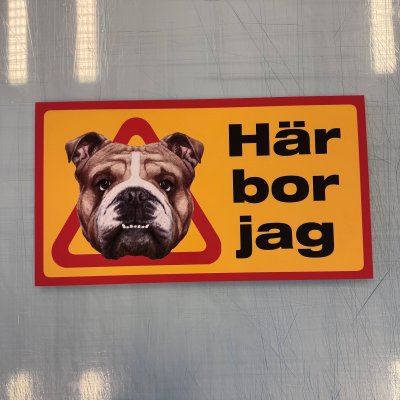 Fynd - Här bor jag