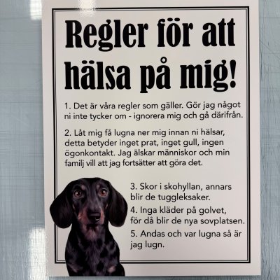 Fynd - Regler för att hälsa på mig