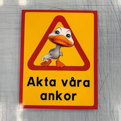 Fynd - Akta våra ankor