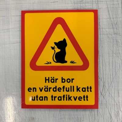 Fynd - Här bor en värdefull katt utan trafikvett, reflekterande