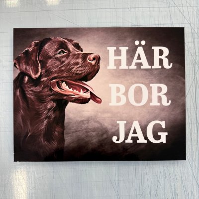 Fynd - Här bor jag