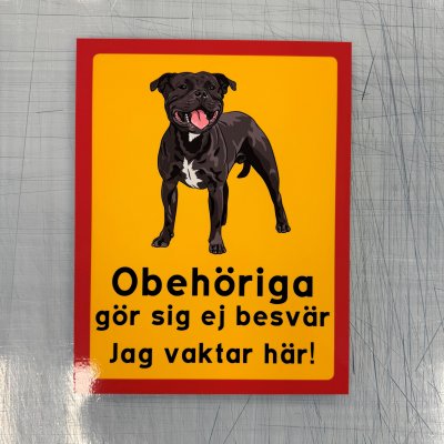 Fynd - Obehöriga gör sig ej besvär, bullterrier