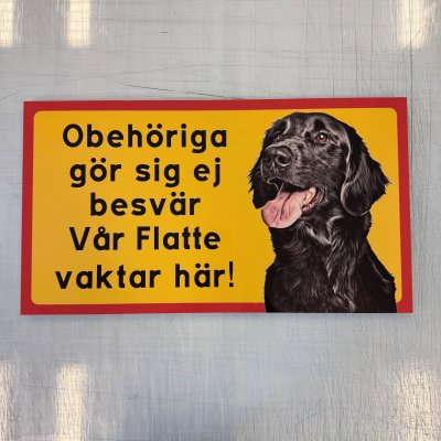 Fynd - Obehöriga gör sig ej besvär, Flatte, reflekterande