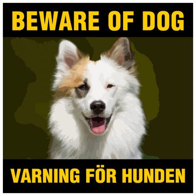 isländsk fårhund beware of dog skylt