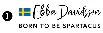 dekal till transporten med svensk flagga och eget namn