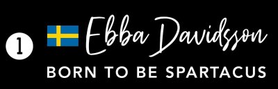 dekal till transporten med svensk flagga och eget namn