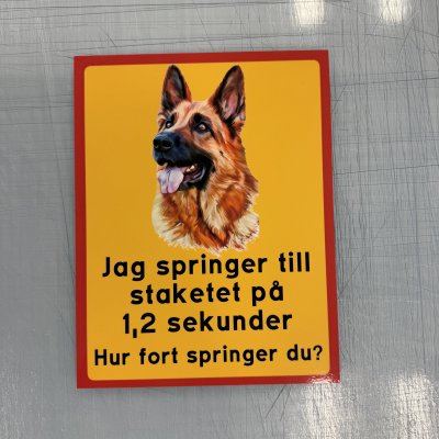 Fynd - Jag springer till staketet, schäfer
