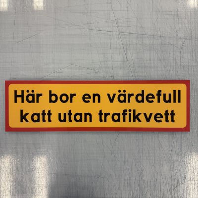 Fynd - Här bor en värdefull katt utan trafikvett