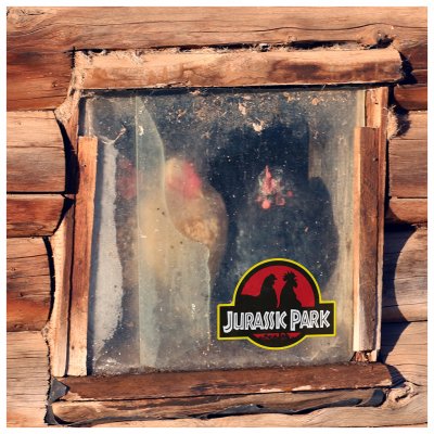 Rolig dekal med höna skylt till hönshuset roliga hönsskyltar jurassic park med höns hen garden funny