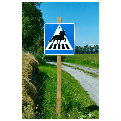 övergångsställe häst islandshäst rolig skylt här går man herr gårman