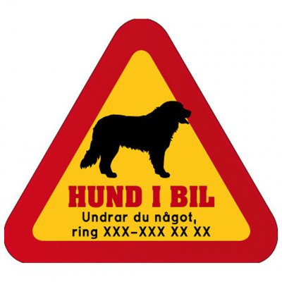 hunddekal dekal med hund och telefonnummer mobilnummer klistermärke Berner Sennen Sankt Bernhardshund st bernard