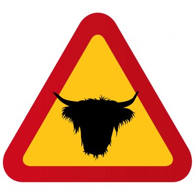 varning för ko kossa bonde kobonde present varning för kossan tjur highland cattle
