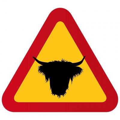 varning för ko kossa bonde kobonde present varning för kossan tjur highland cattle