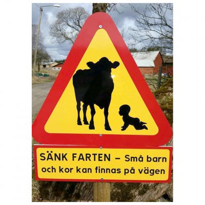 Varning för ko kossa bebis krypande barn akta oss