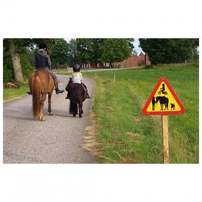 Häst barn flicka cyklar cykel ridskola hund barn