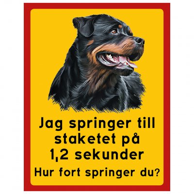 P1149217 här vaktar jag hund springer snabbt staket sekunder rottweiler