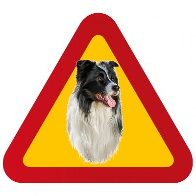 Border Collie Porträtt hund fin skylt bordercollie varning för hunden