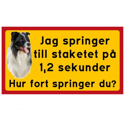 Border Collie Jag springer till staketet Varning för hunden inga tjuvar kom in på egen risk