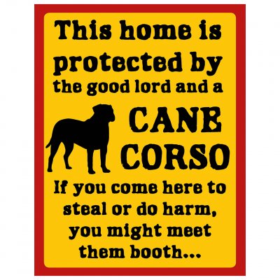 P1151781 skyddshund skyddat gud hund cane corso vakthund