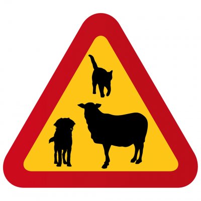 varningsskylt får och lamm fårfarm i hagen katt hund