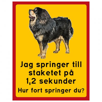 P1673996 Tibetansk mastiff​ här vaktar jag hund springer snabbt staket sekunder