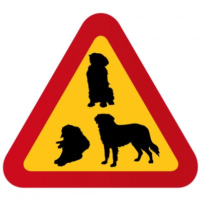 varningsskylt med hund berner sennen