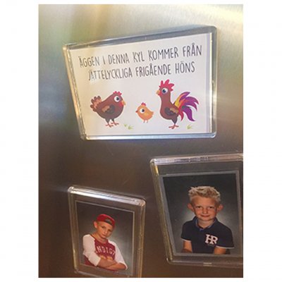 kylskåpsmagnet med höns frigående höns