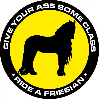 Give your ass some class - Ride a friesian Frieserhäst frieser dekal sticker