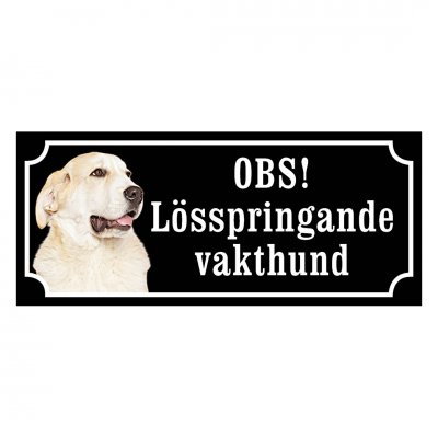 Sredneasiatskaja Ovtjarka. Alabai