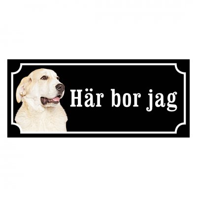 Sredneasiatskaja Ovtjarka. Alabai