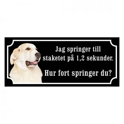 Sredneasiatskaja Ovtjarka. Alabai