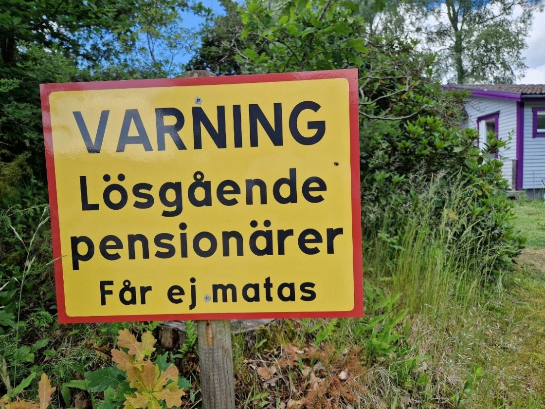 lösgående pensionärer får ej matas